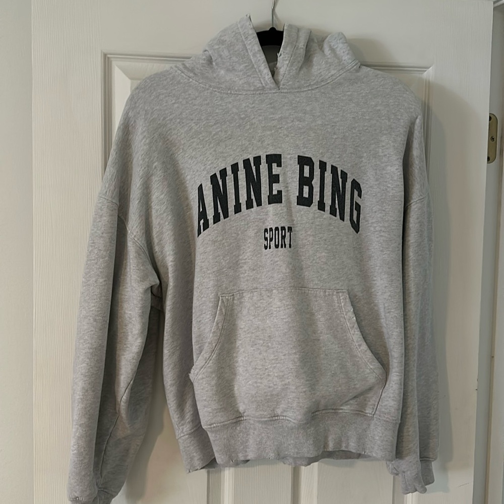Anine Bing Sport Hooded Sweatshirt